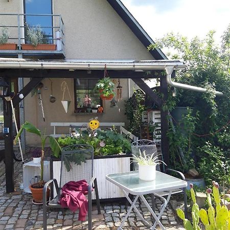 Ferienwohnung Auf Dem Land Rochlitz Εξωτερικό φωτογραφία