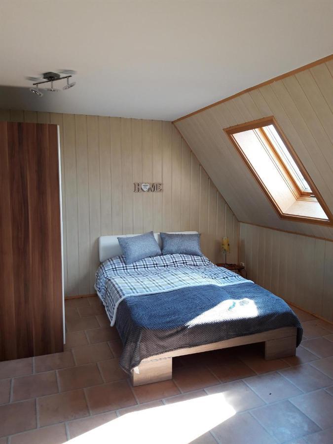 Ferienwohnung Auf Dem Land Rochlitz Εξωτερικό φωτογραφία
